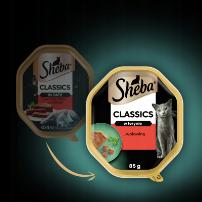 Sheba Classics Karma Mokra dla Kota Wołowina w Terynie 85g