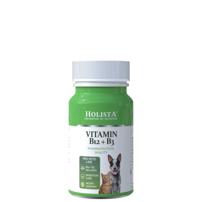 Holista Vitamin B12 + B3 90 Tabl.